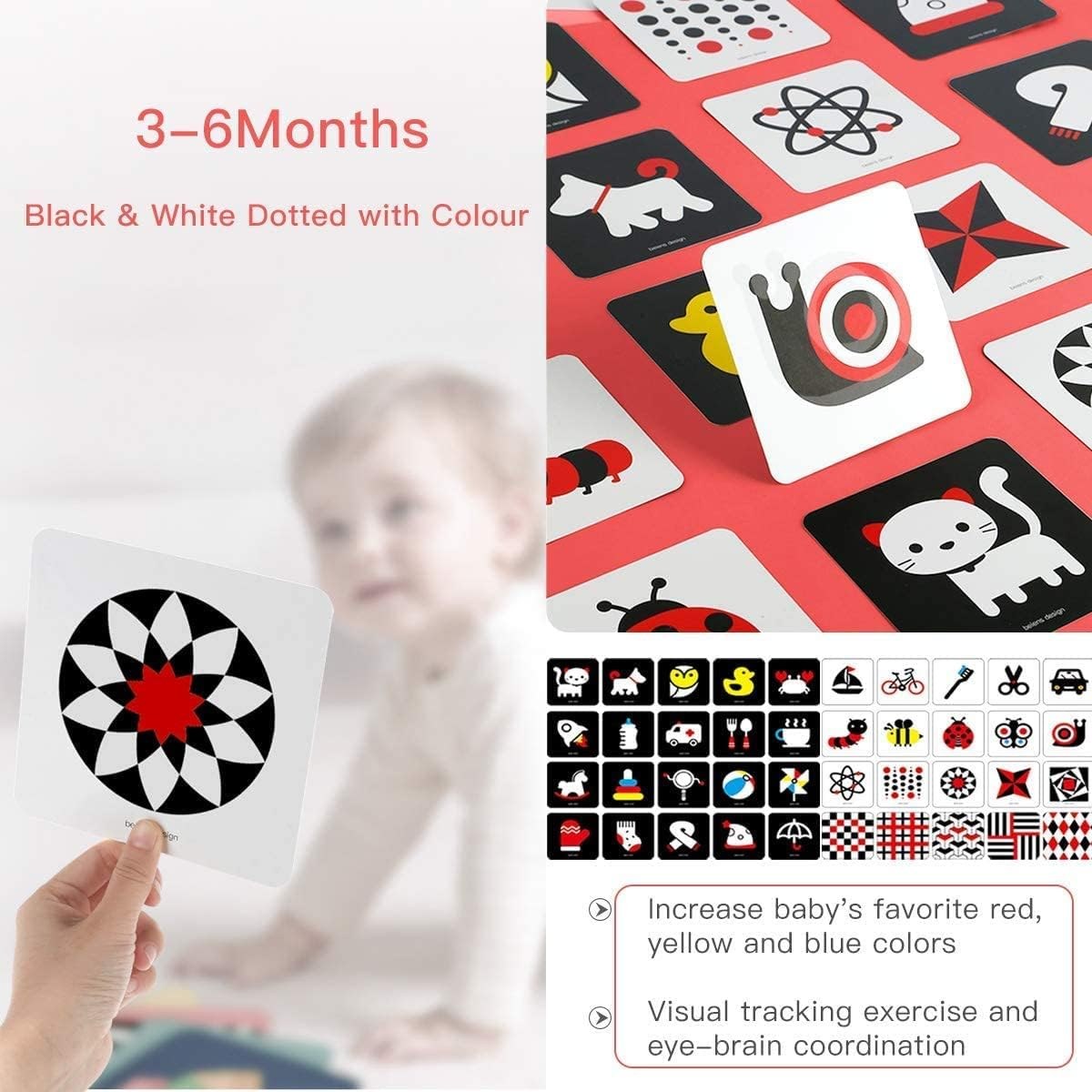 beiens High Contrast Flashcards, 80 Cards, photo 4